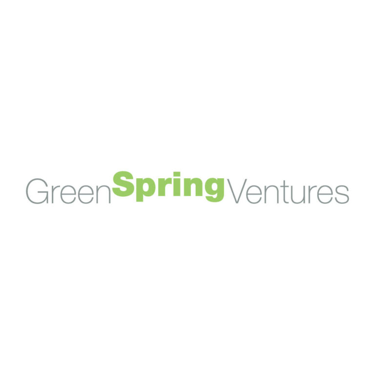 who are spring venture group competitors
